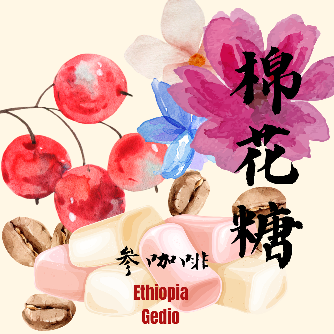 參咖啡 淺焙豆 衣索比亞 「棉花糖」咖啡豆（可代磨粉）/耳掛包