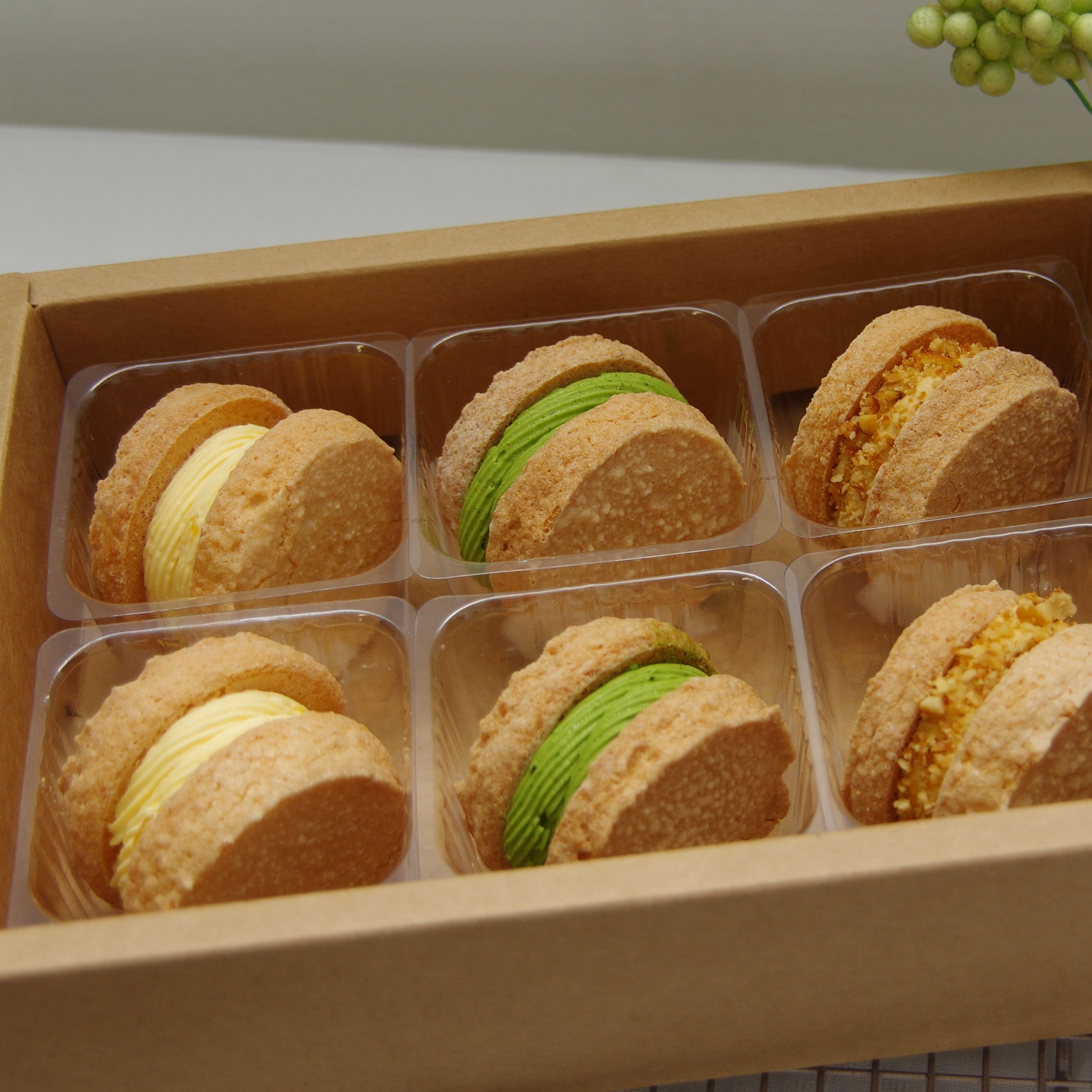 達克瓦茲六入精選盒