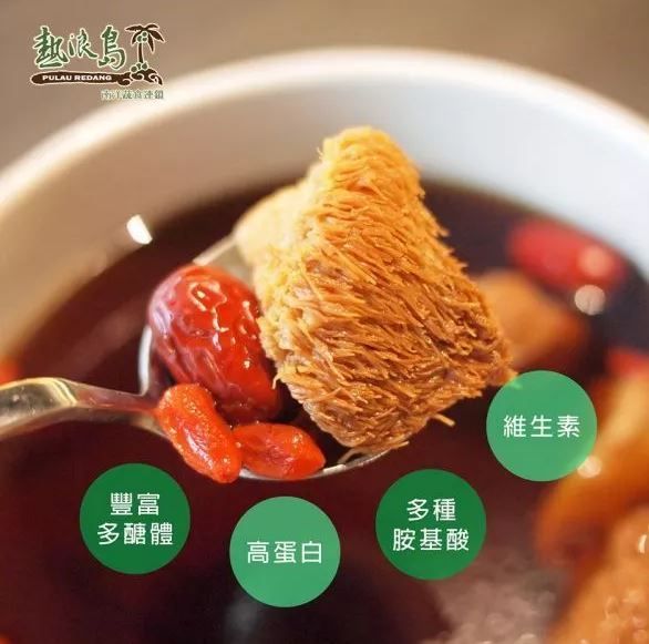 熱浪島-猴頭菇600g（奶素/全素）
