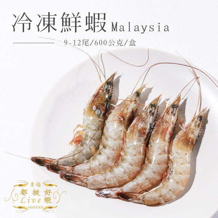 馬來西亞活凍白蝦 Frozen Raw Shrimp （Malaysia）