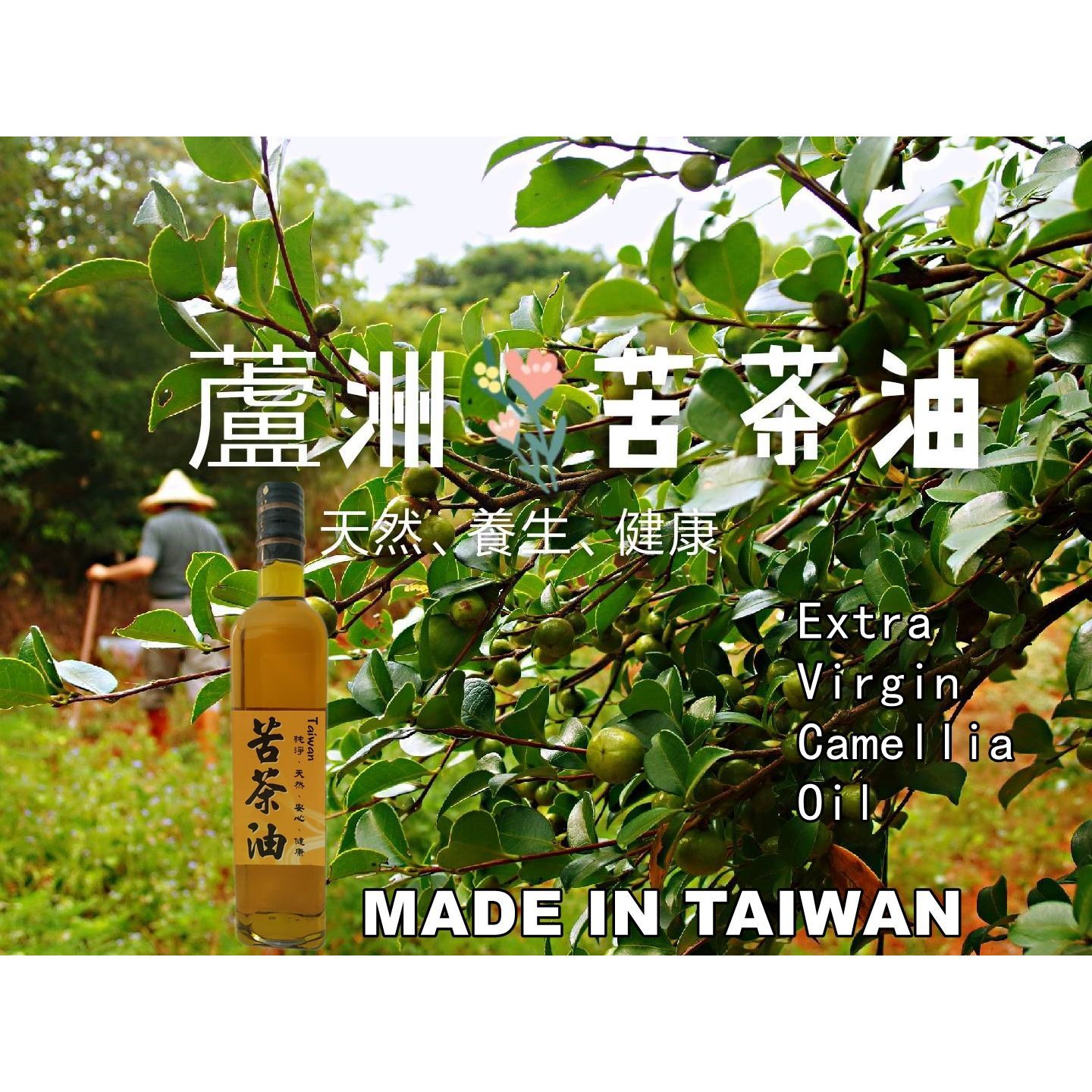 蘆洲苦茶油