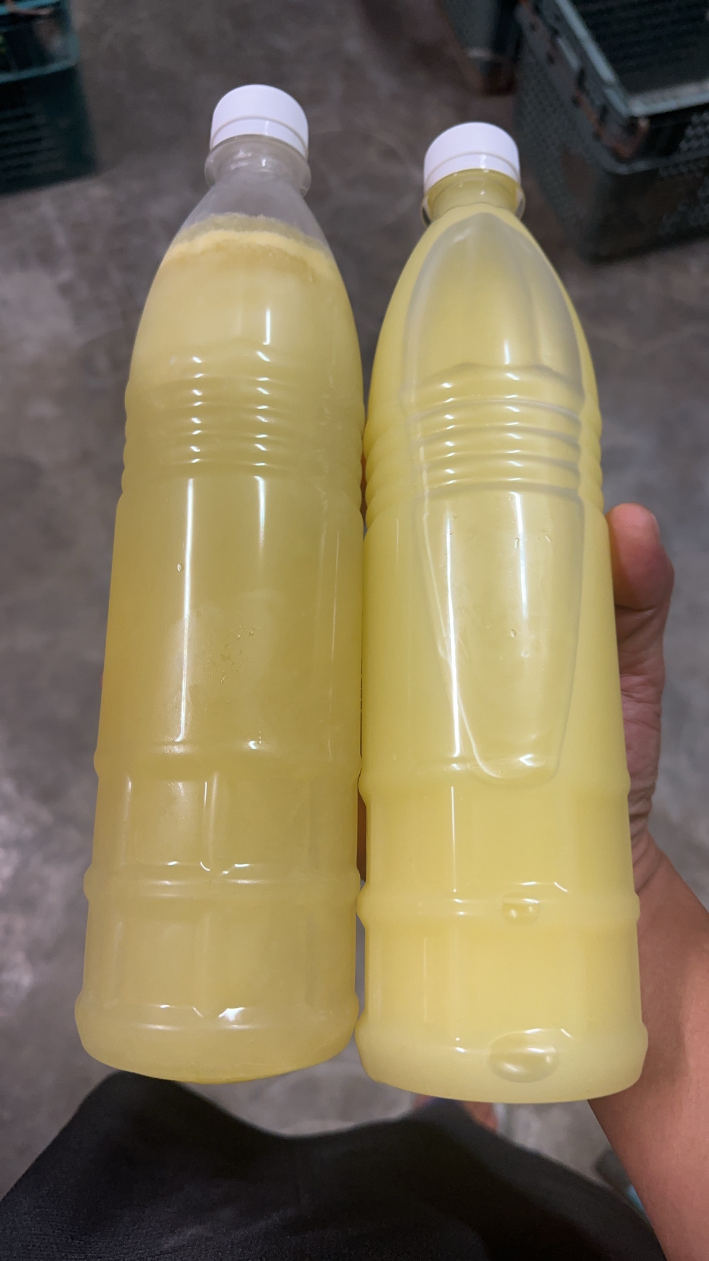 800C.C百分百柳橙原汁