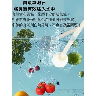 110V 洗菜機 蔬果機 家用多功能蔬果消毒機 活氧機 空氣淨化器蔬菜解毒機 蔬果解毒機 臭氧機