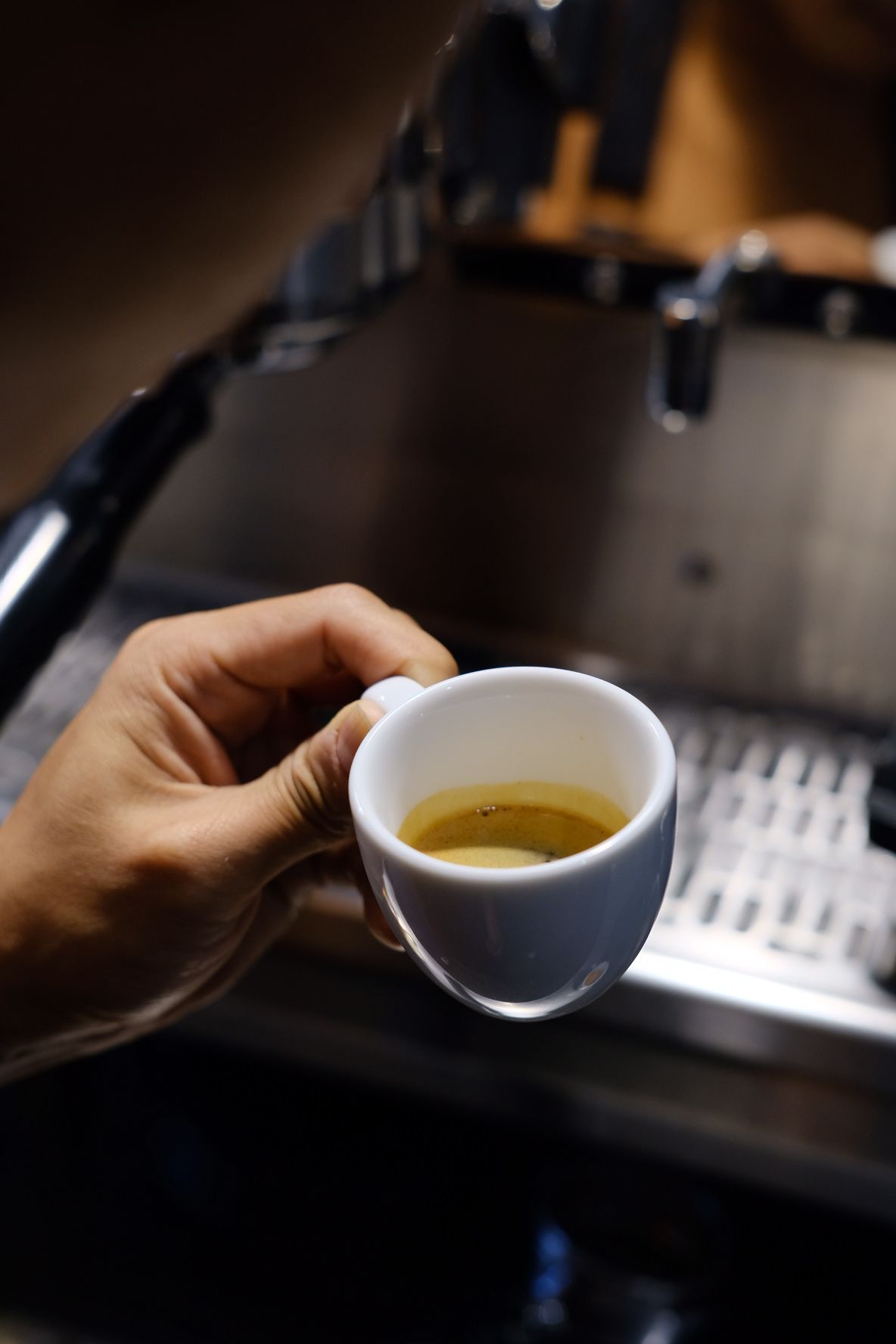 哥斯大黎加 小蜜蜂