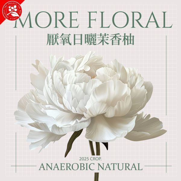 衣索比亞 茉香柚 可如蜜  厭氧日曬