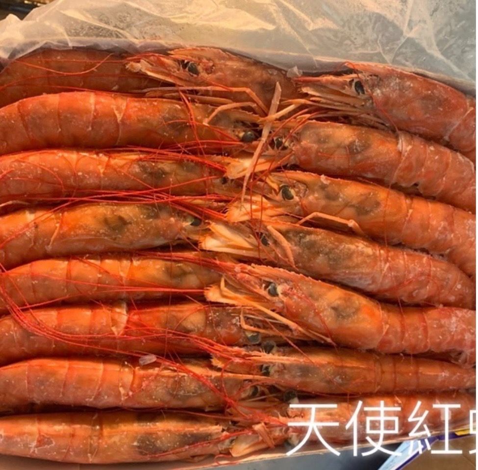L1天使紅蝦 （生食級）