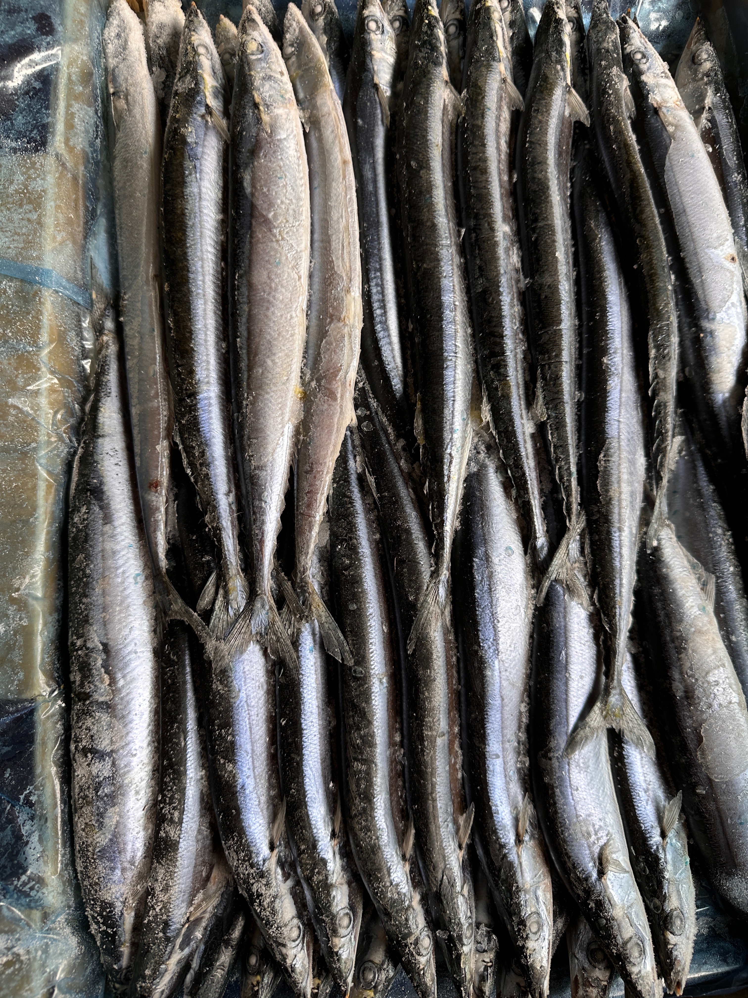 好吃的秋刀魚