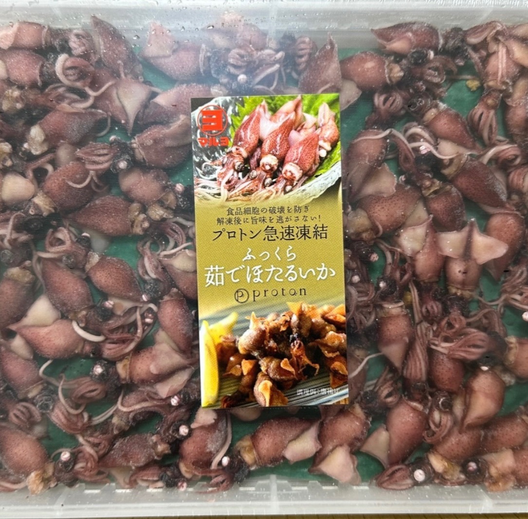 熟凍螢烏賊（解凍即食）