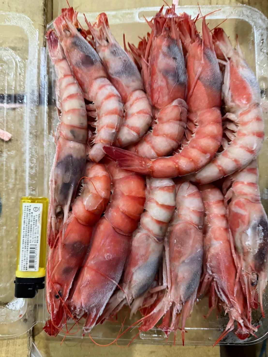 南方澳 生食級の葡萄蝦