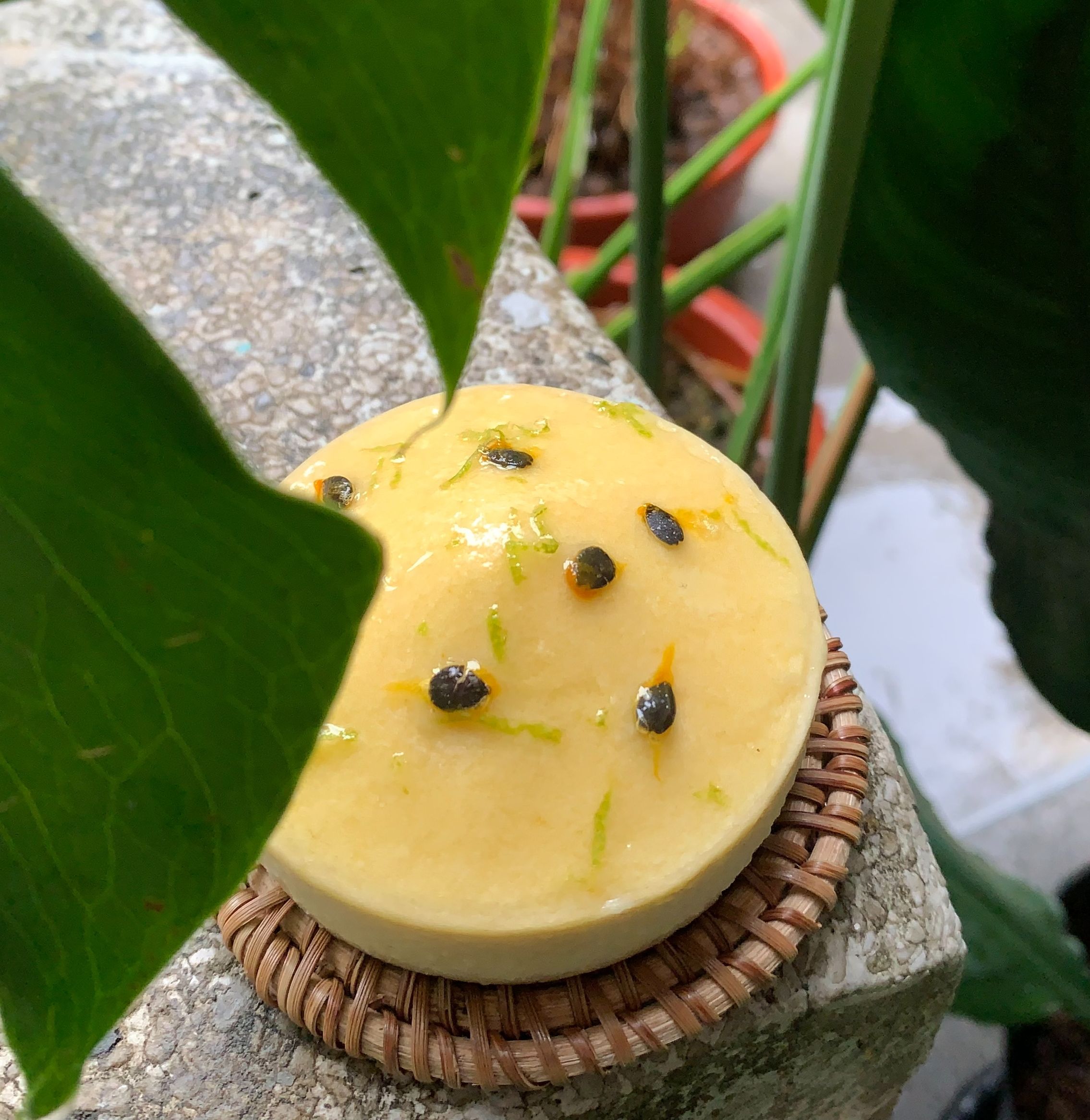 百香／原味 夏日檸檬塔（兩個）