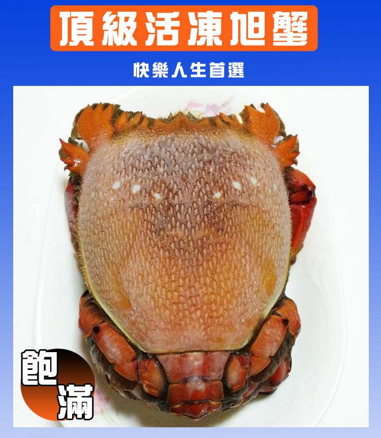 特大活凍旭蟹700~800g 鮮甜肉飽滿