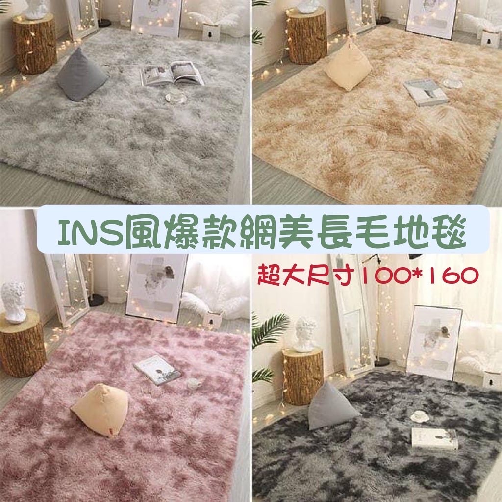 ❣️ INS爆款網美大地毯（優質不掉毛款）❣️