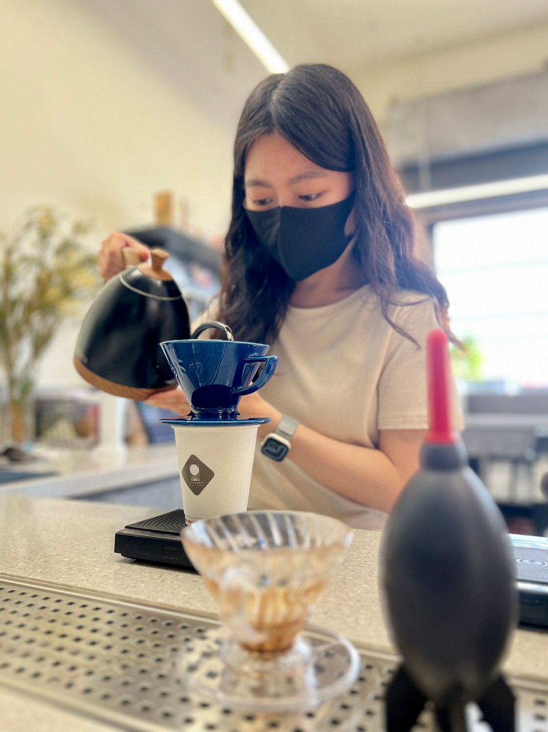 衣索比亞 耶加雪菲 艾瑞嘉 水洗 淺焙