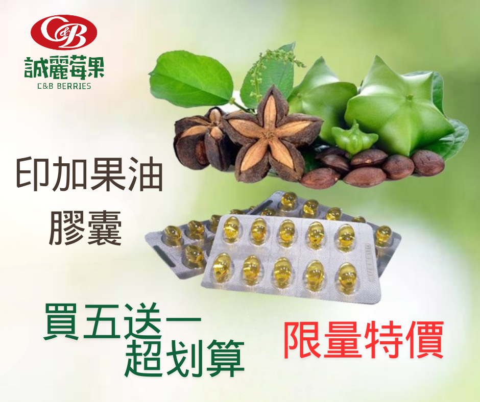 印加果油膠囊60粒