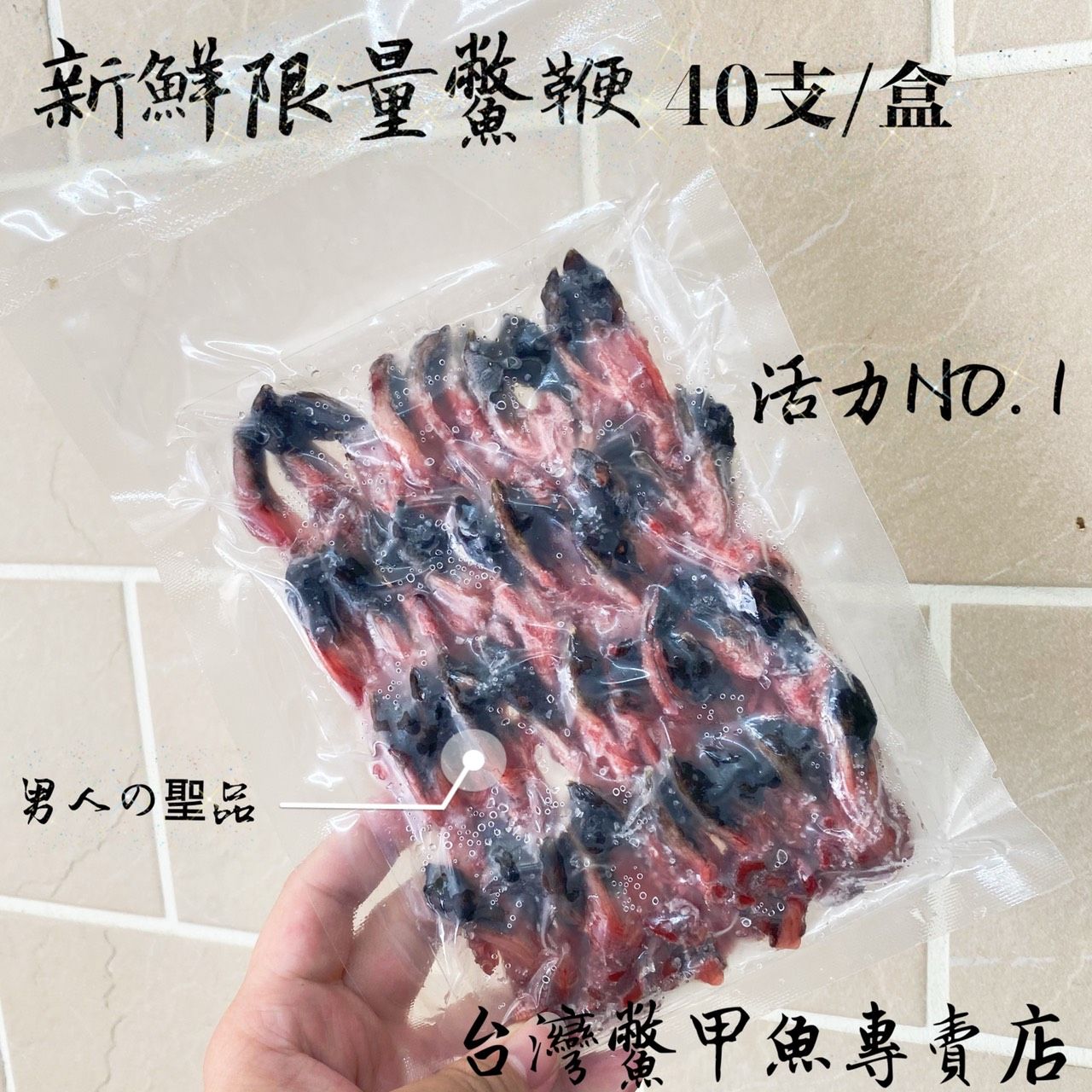 尚青ㄟ【台灣鱉】新鮮鱉鞭 40支/盒 可料理三杯 SGS合格檢驗甲魚