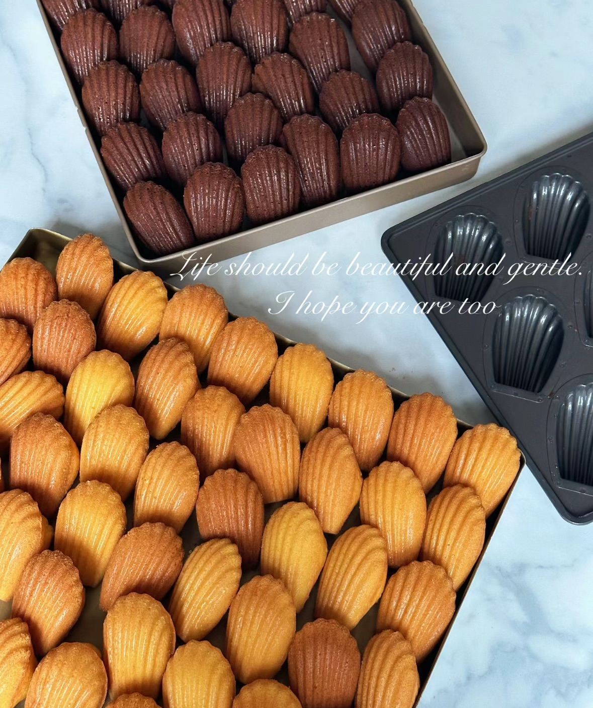 瑪德蓮（正常尺寸）