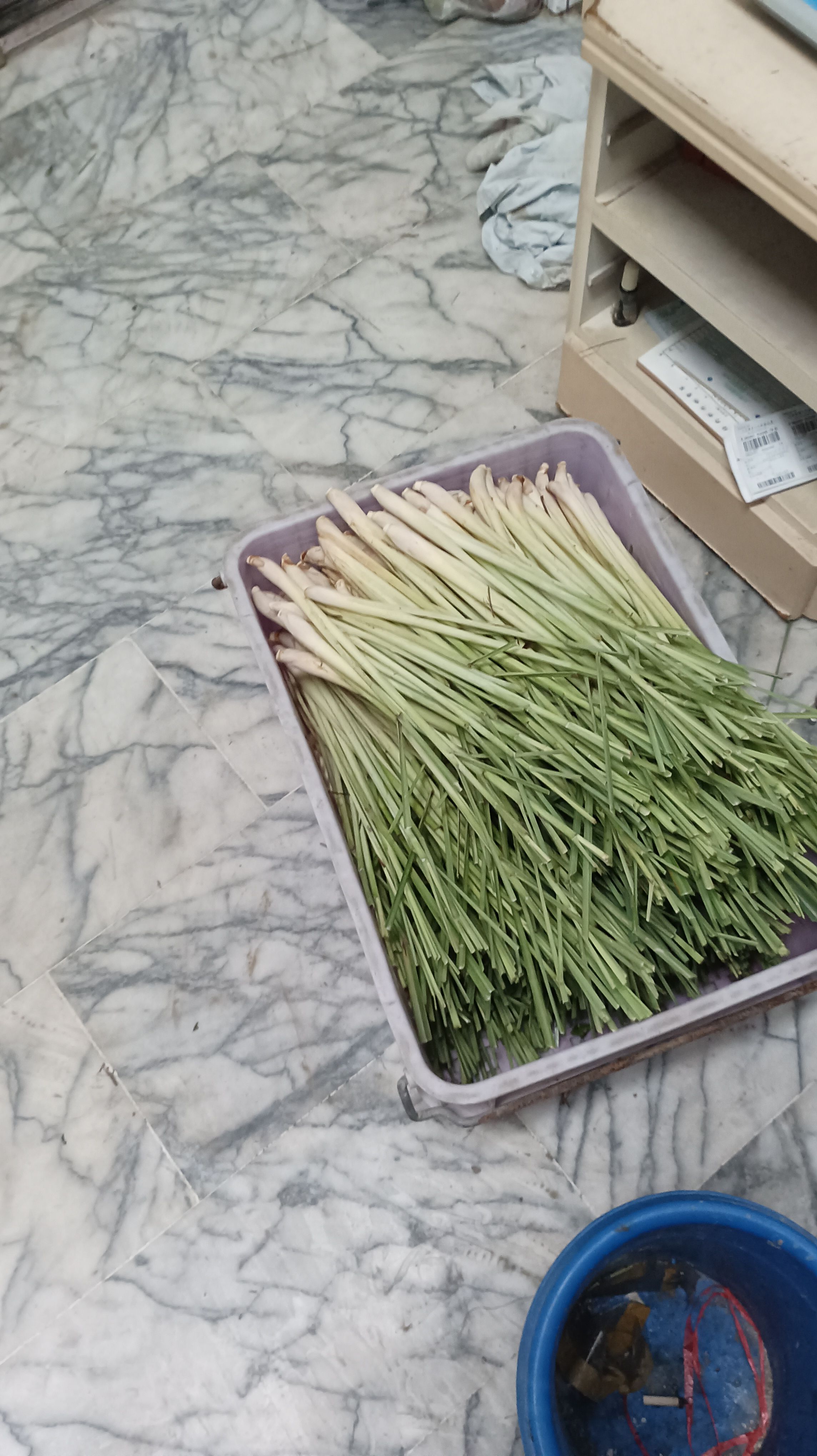 香茅6台斤270元一箱