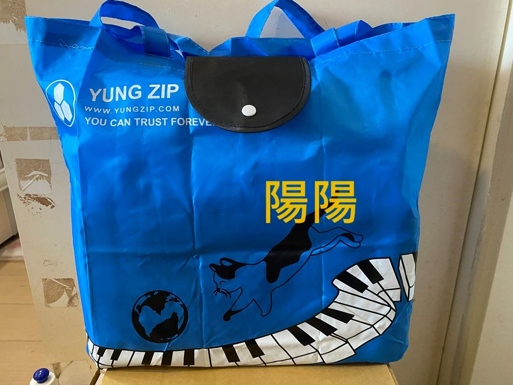 2533.【陽陽小舖】股東會紀念品 永日 YUNGZIP 薄款 環保購物袋 環保袋 購物袋 背心袋 提袋 手提袋 袋子