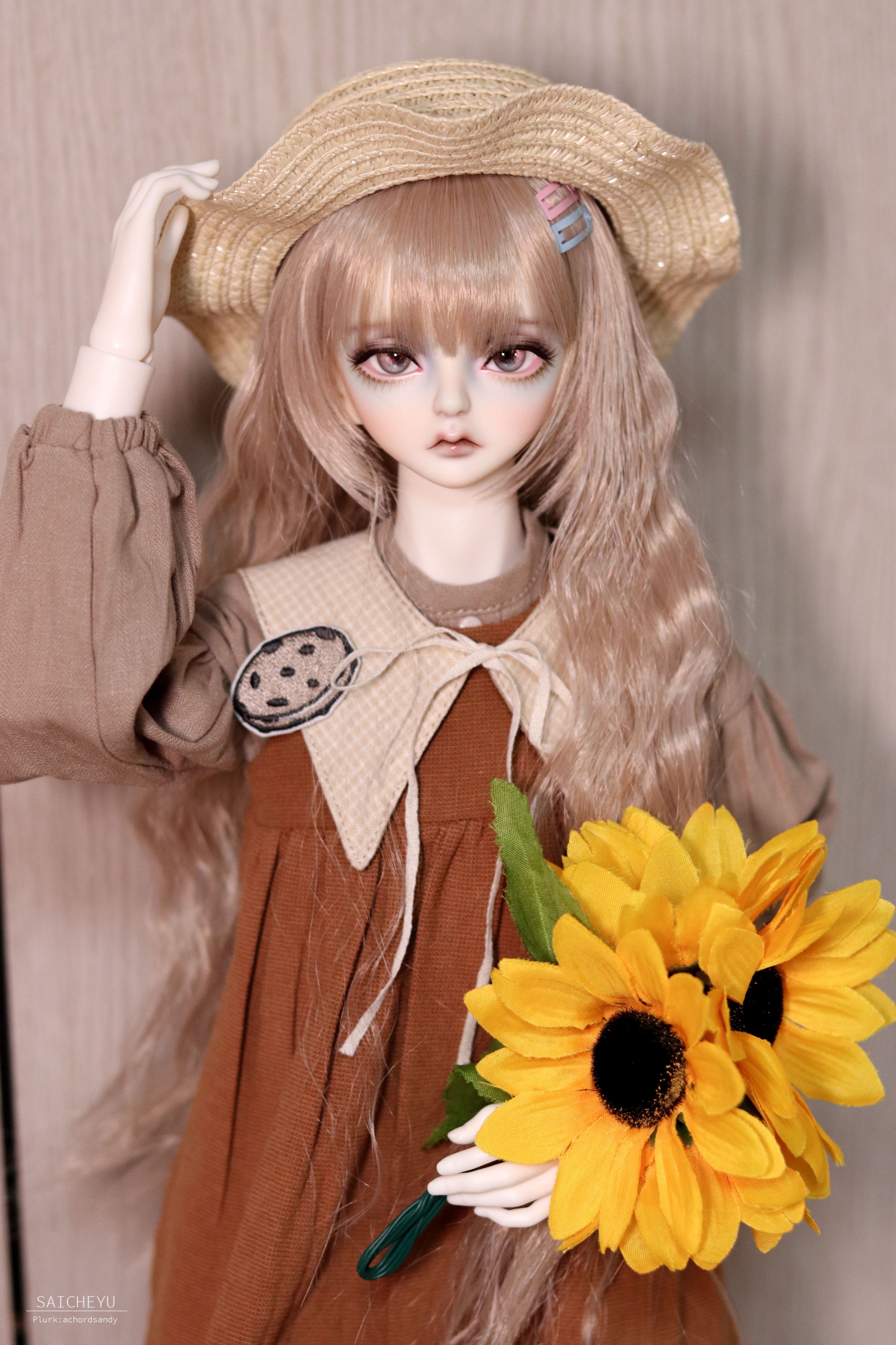 伽馬星球爬行館-曲奇餅乾