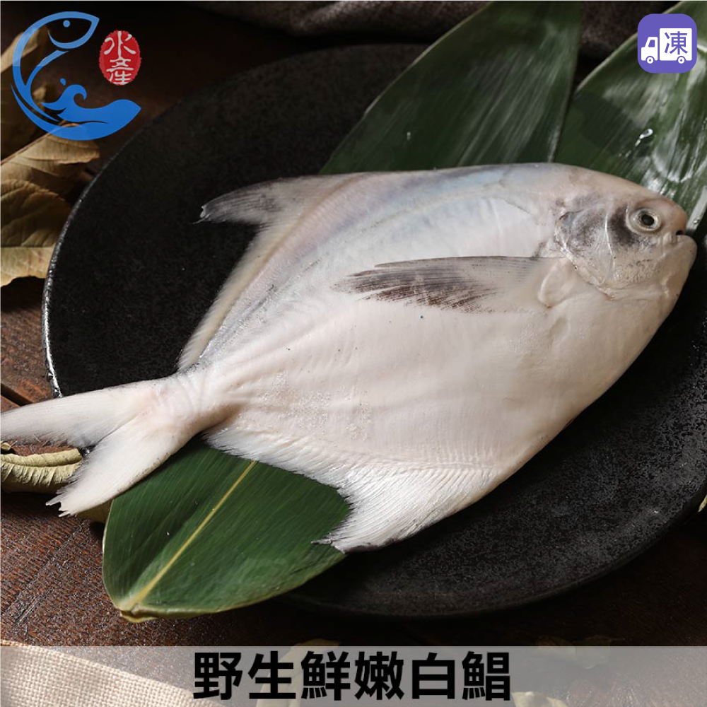 野生鮮嫩白鯧 350g - 台灣 / 佐佐鮮