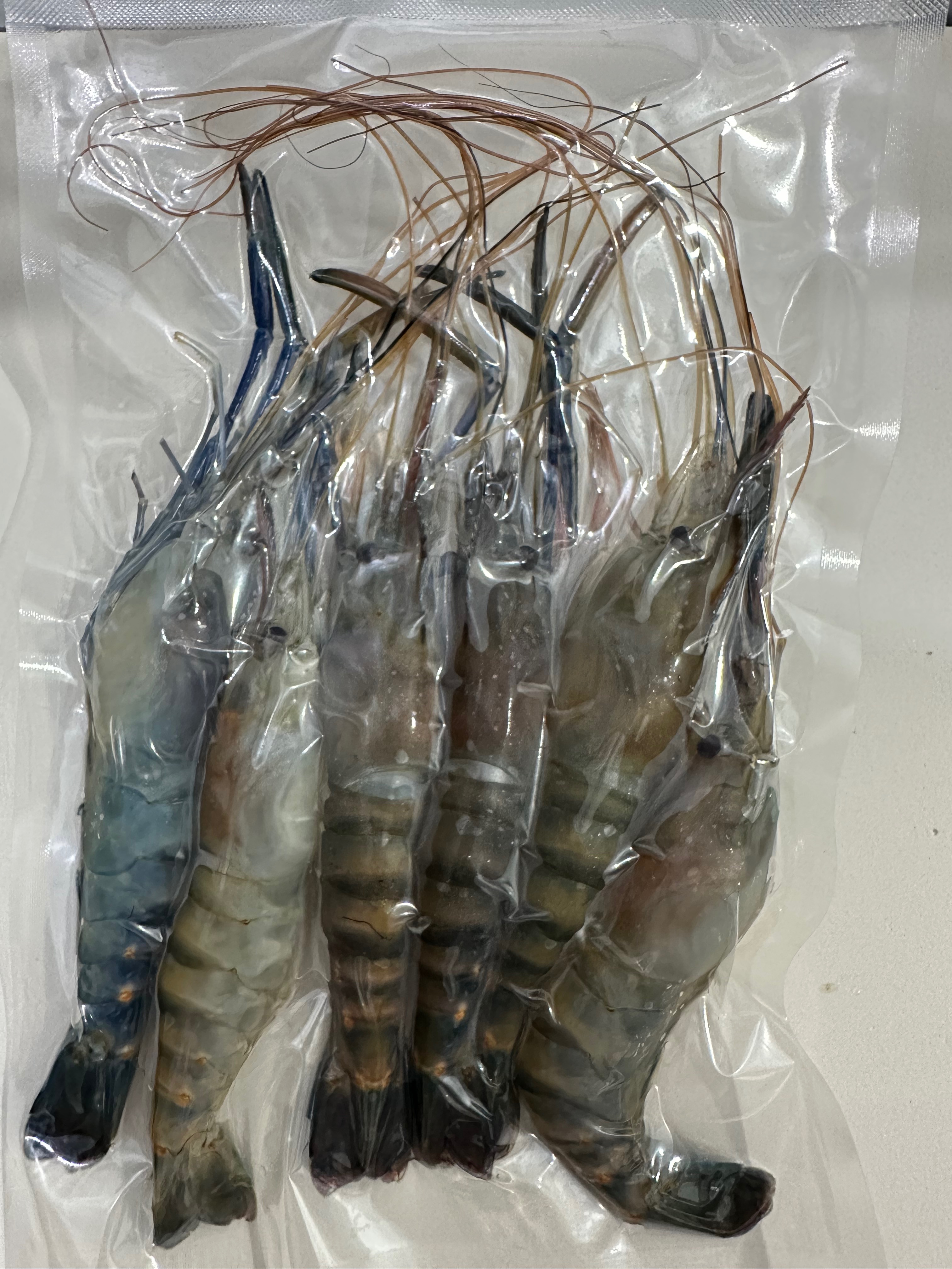 新鮮海產漁貨_ 活跳跳泰國蝦—急速冷凍真空包裝300g/包《特價 限每人一包》
