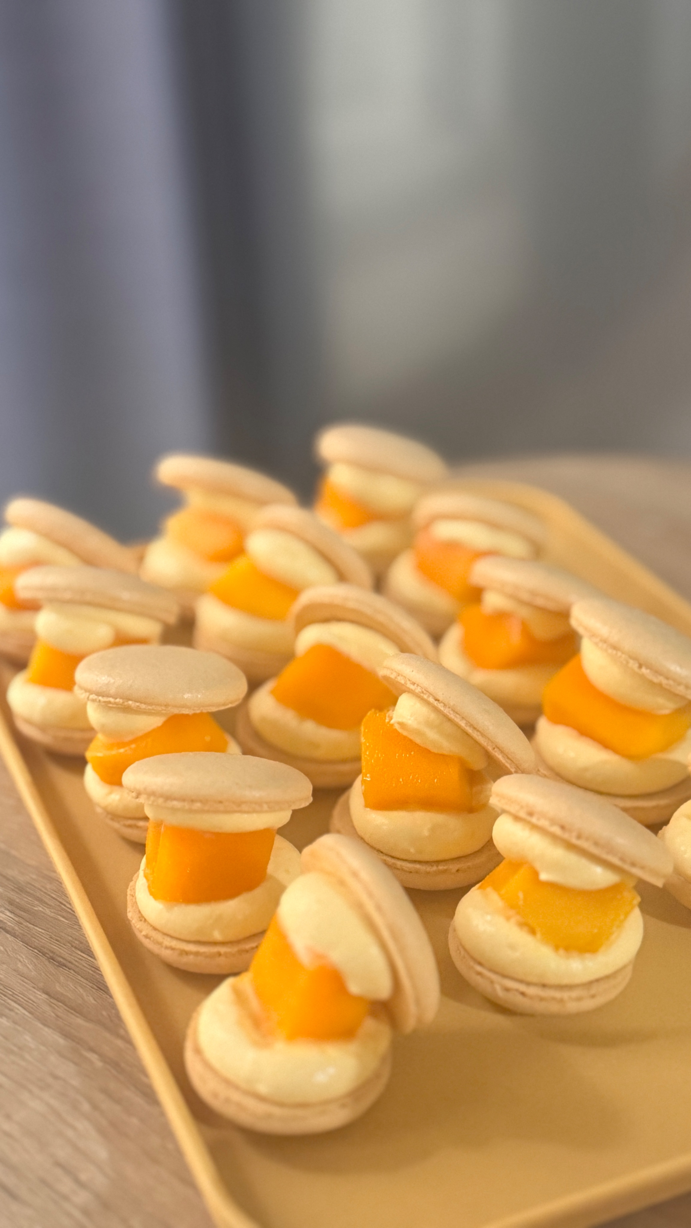 韓系胖胖馬卡龍