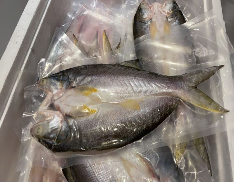 午仔魚一夜干