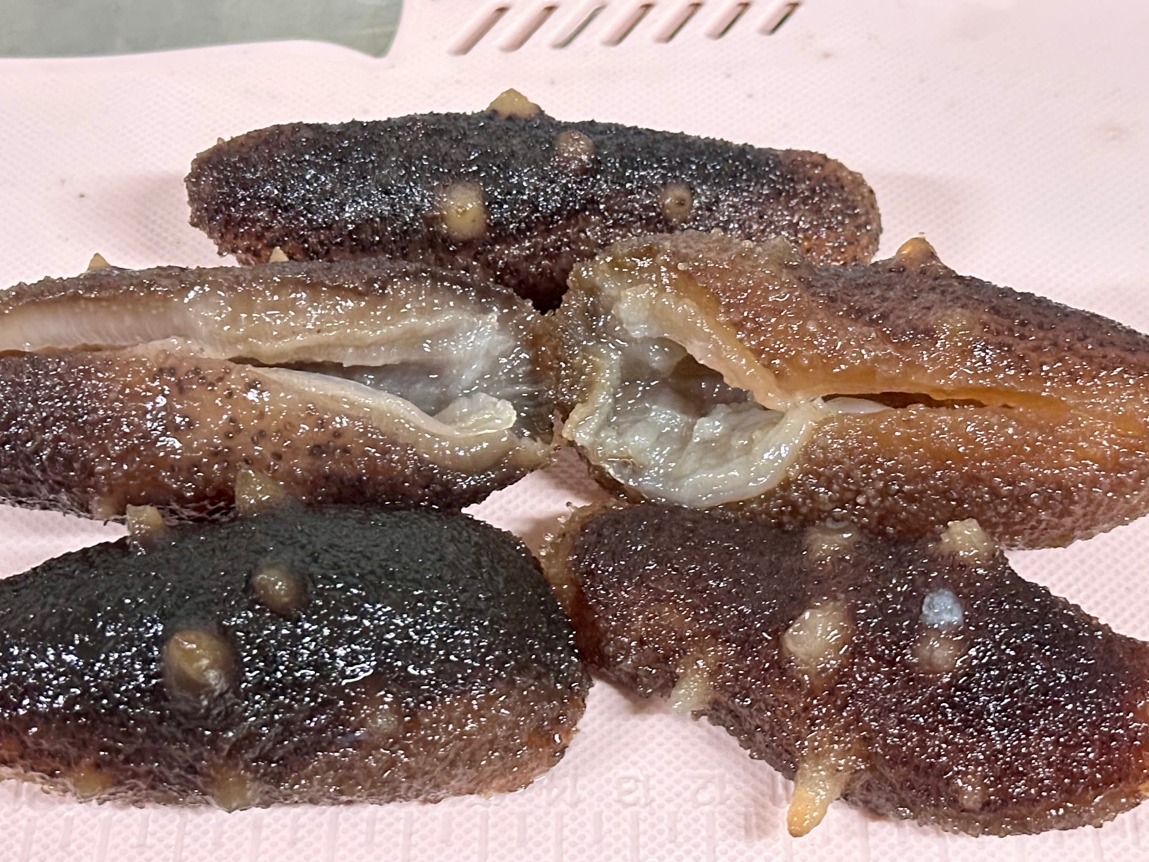 八角刺參｜美加海岸