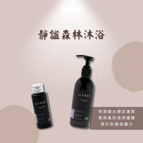 森 挪威 ｜靜謐森林沐浴