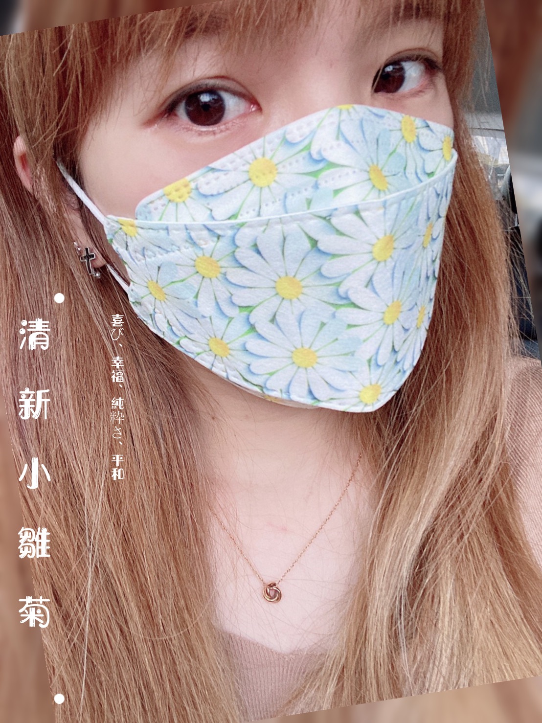 清晰小雛菊