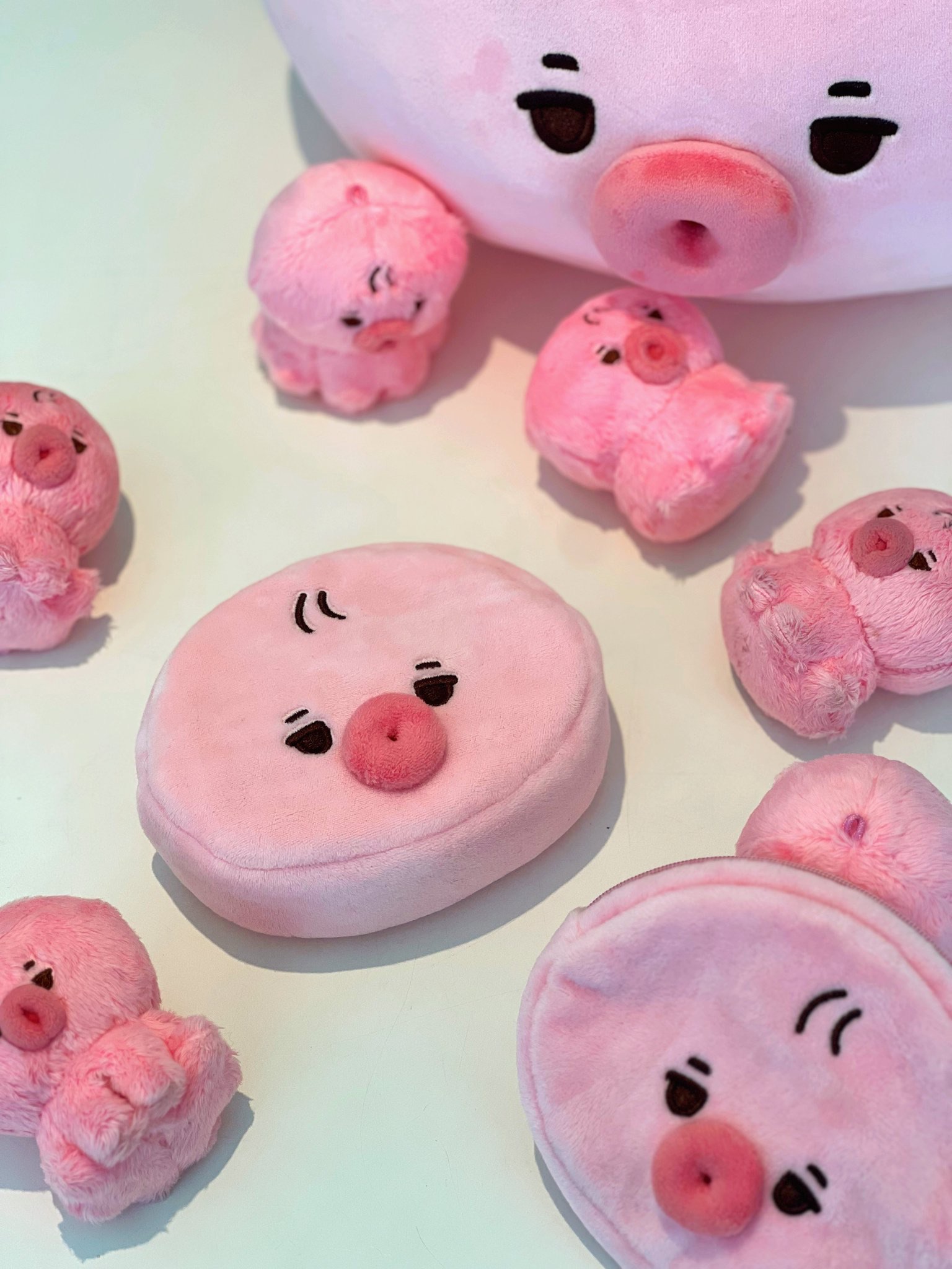 떤코 TBZ 善旴 飯製