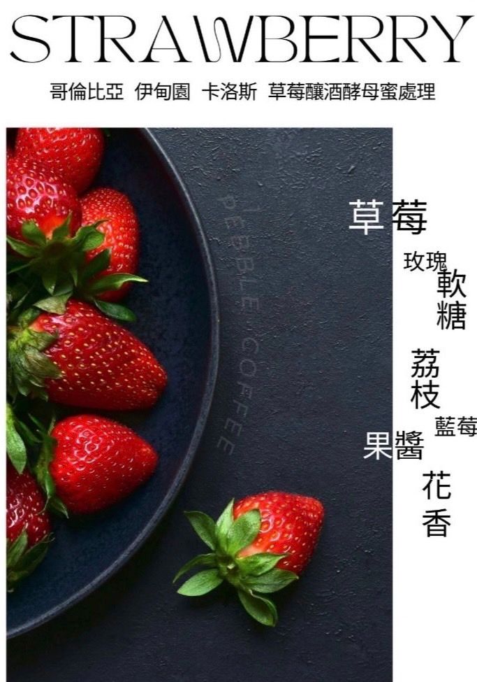 中南美洲系列精品咖啡（5月加價購1.科佩莊園黑蜜2.小燭莊園）