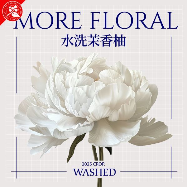 衣索比亞  茉香柚 G1 Kurume