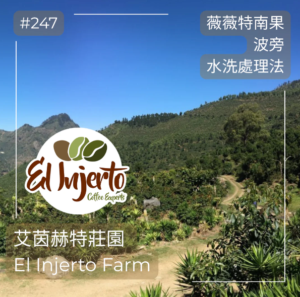 艾茵赫特莊園 El Injerto 波旁