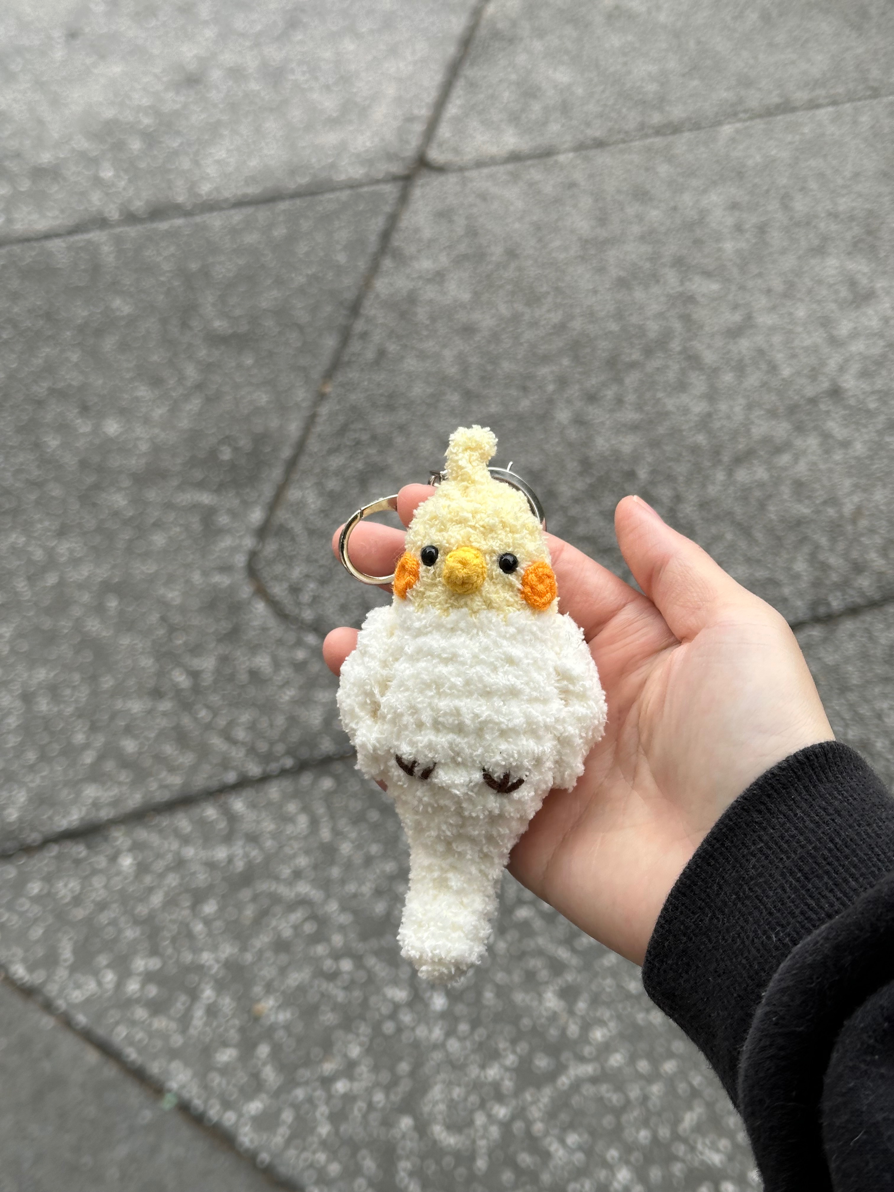 毛絨鸚鵡