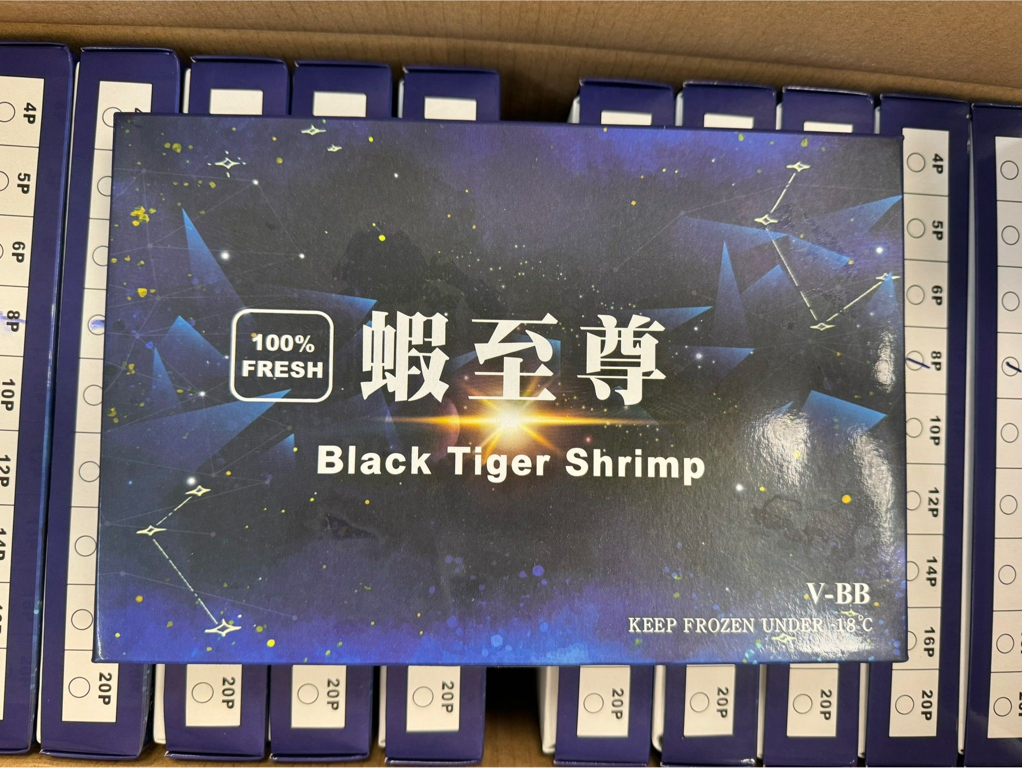 越南草蝦8P