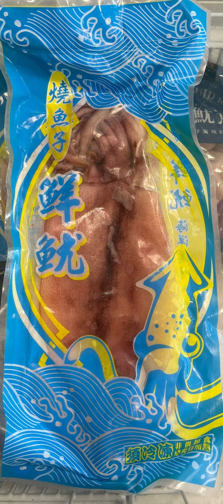 阿根廷巨無霸魷魚
