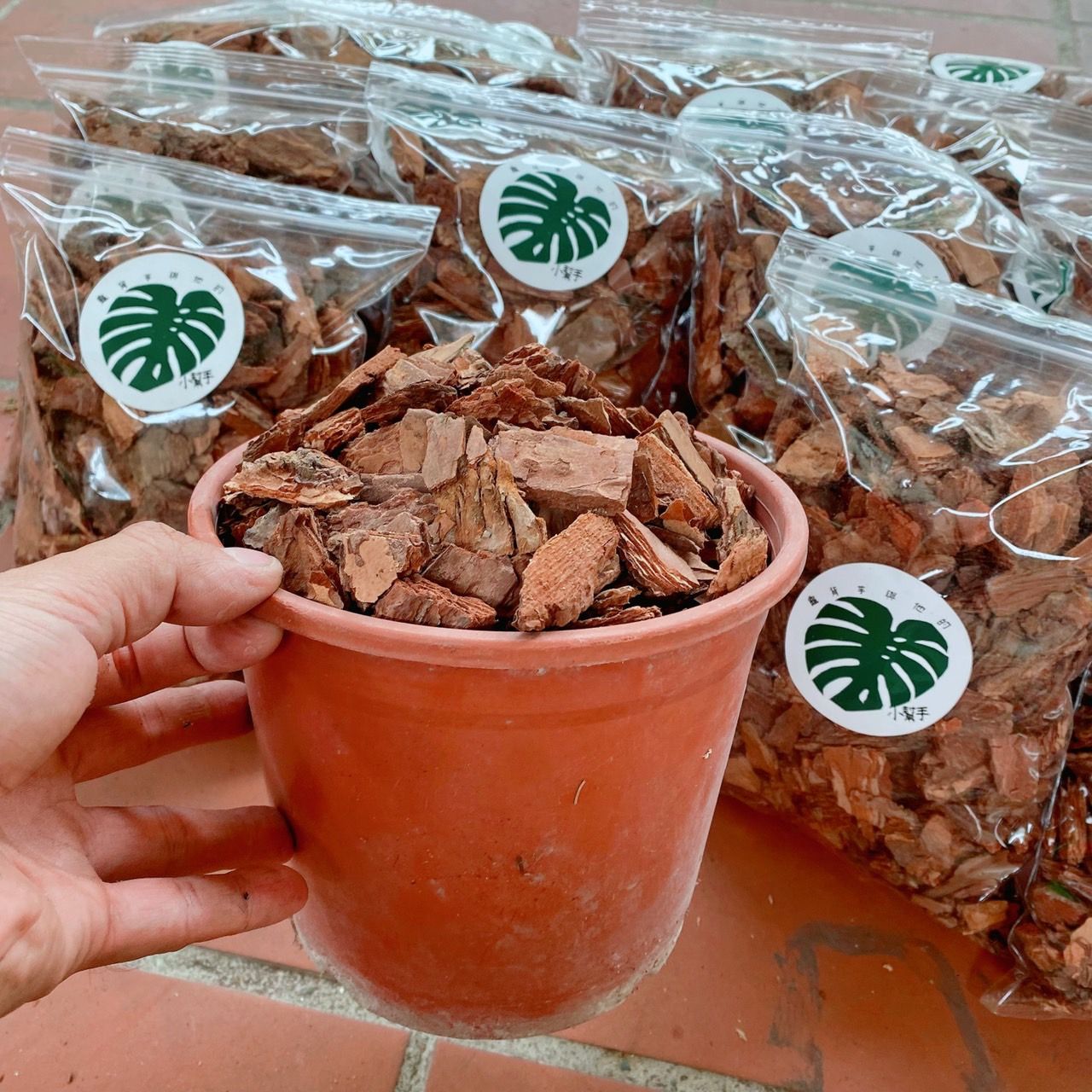 樹皮