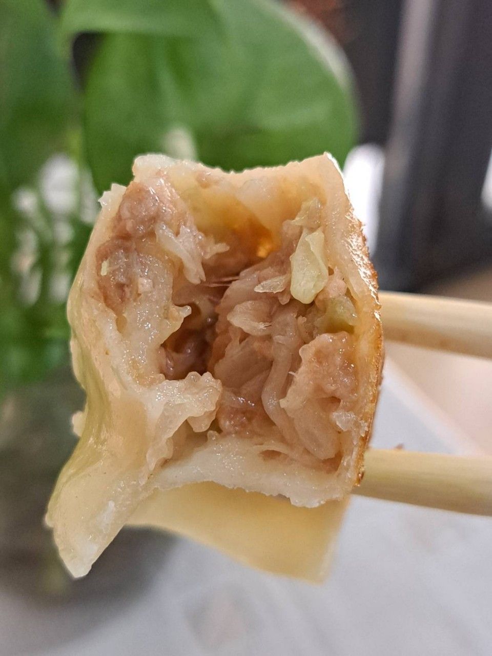 高麗菜水餃  （全素）