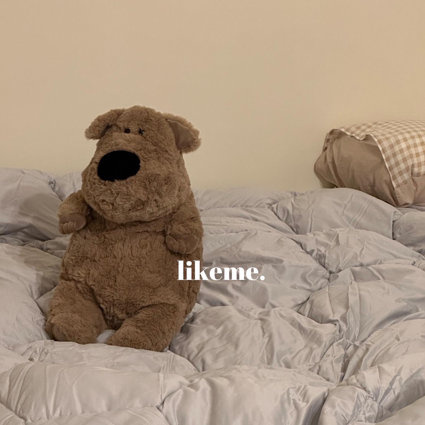 𝗣𝘂𝗳𝗳𝘆 𝗽𝘂𝗽𝗽𝘆🐶那隻一抱就想睡覺的胖狗狗