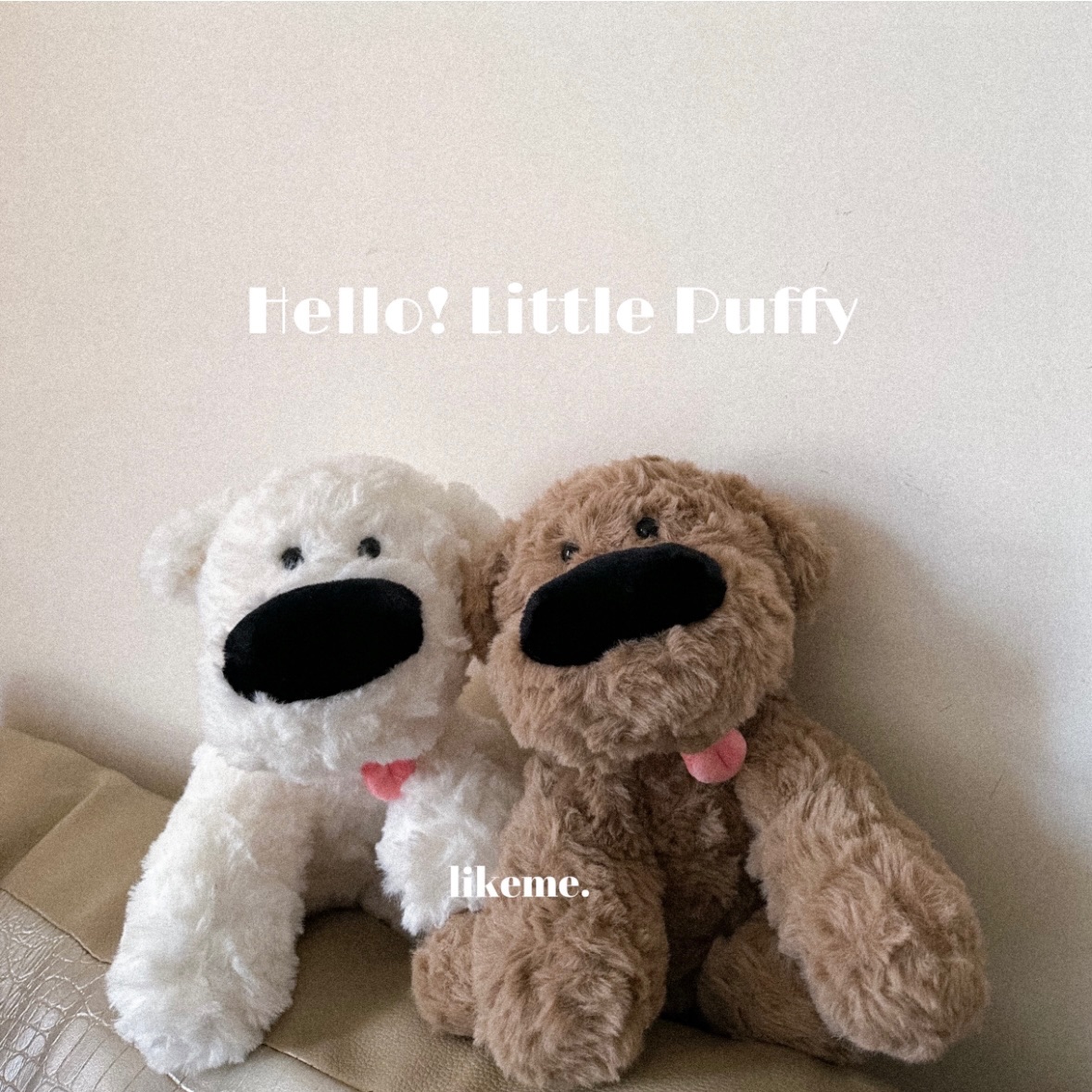 𝖯𝗂𝗀𝗅𝗂𝗄𝖾𝗆𝖾 | 𝙡𝙞𝙩𝙩𝙡𝙚 𝙥𝙪𝙛𝙛𝙮 🐶我是胖狗狗的兒子ฅ •ﻌ•