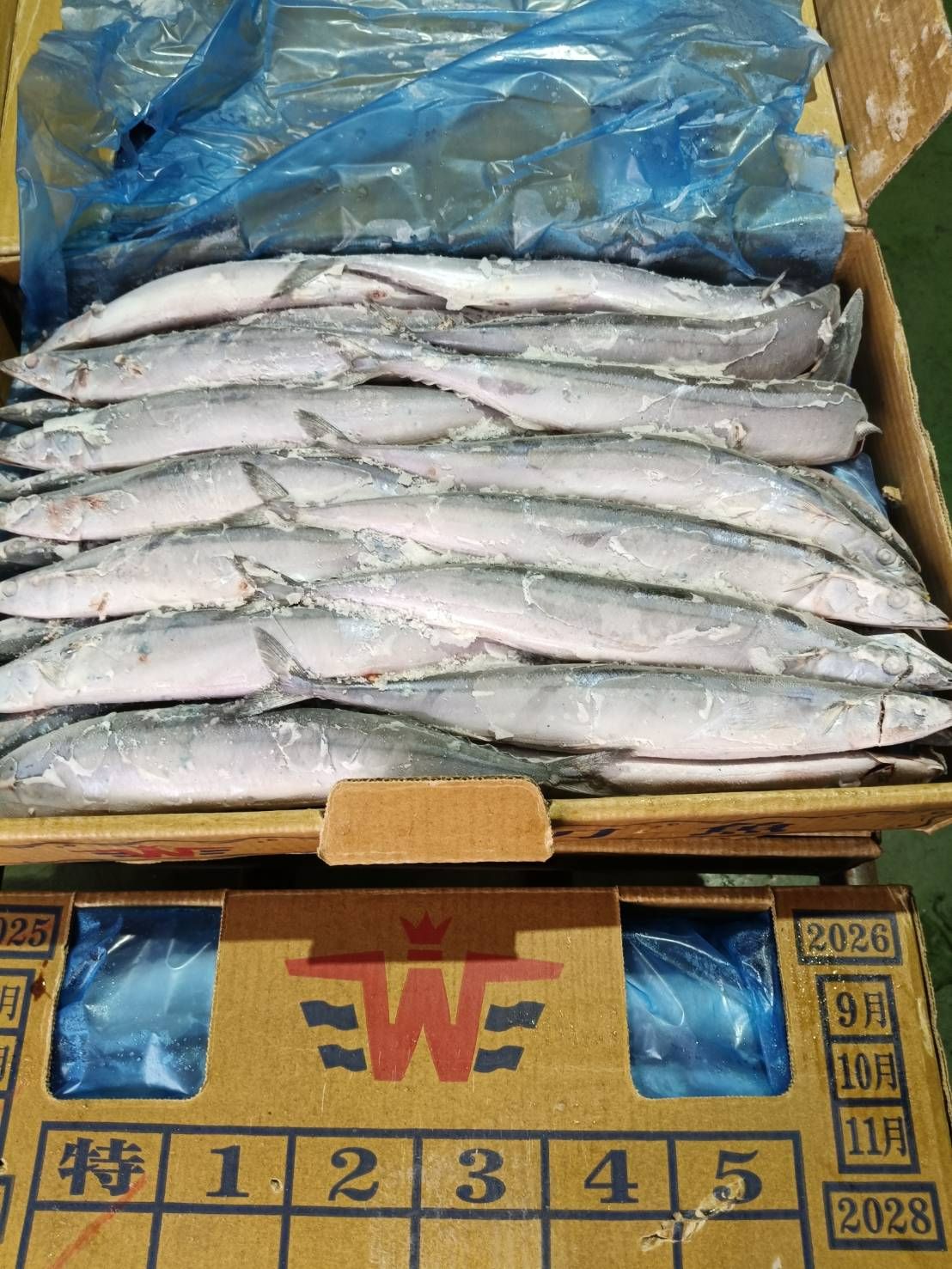 特大秋刀魚  散裝