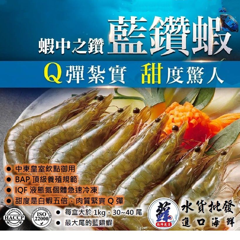 LV 特大 藍鑽蝦 （新光三越賣$1080）