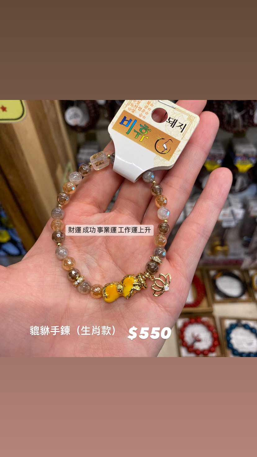 淺咖貔貅 招財手鍊