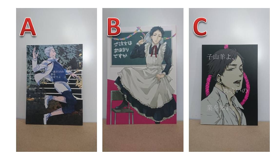 日文 排球 二手 同人 兔赤 熊