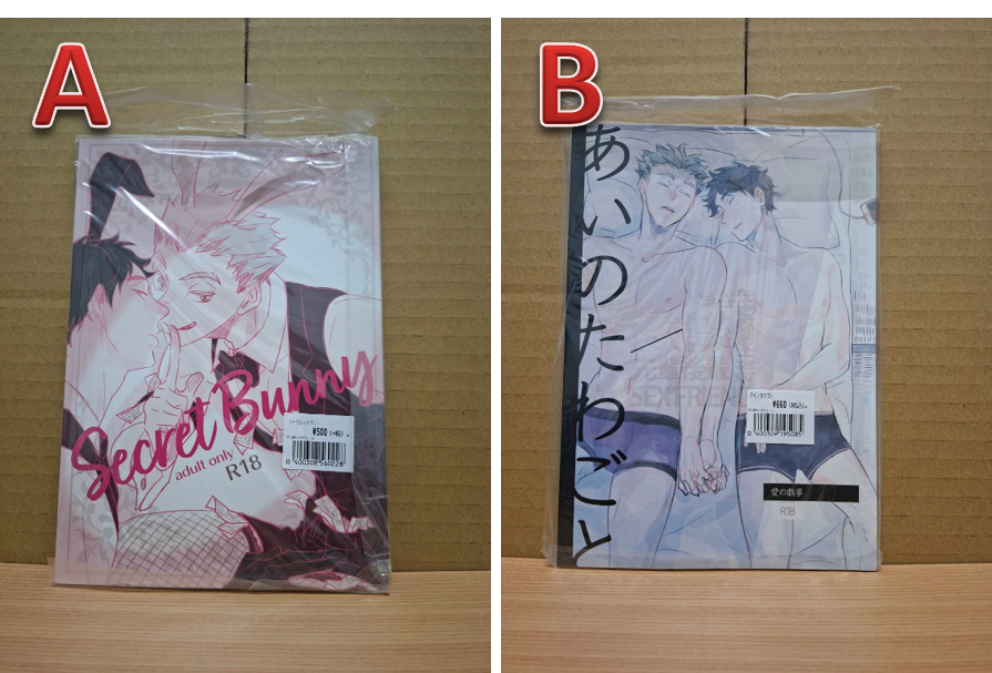 29. 日文 排球 二手 同人 兔赤 おりえ