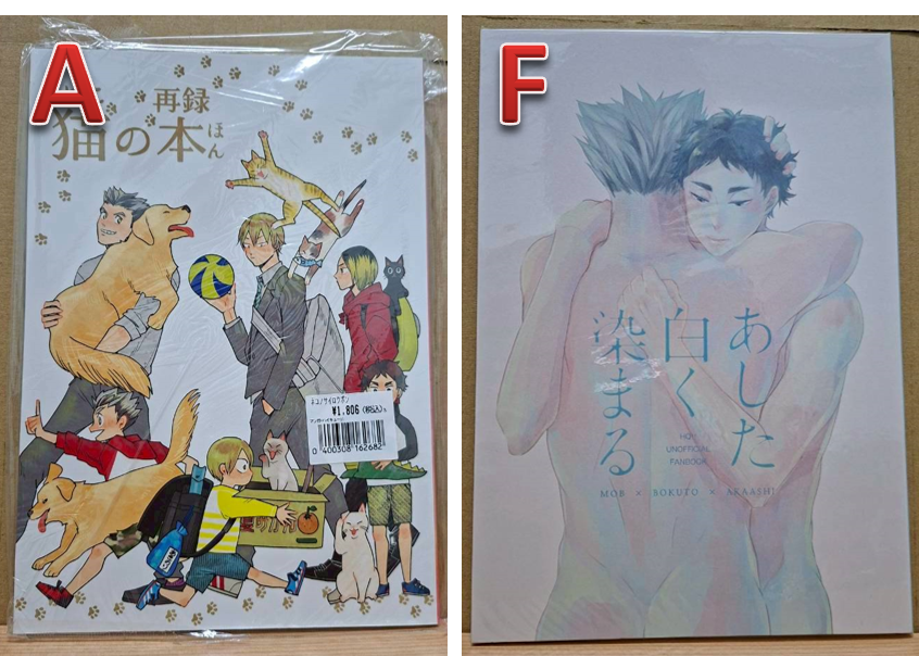 36.日文 排球 二手 同人 兔赤 （尚未找到資訊！）