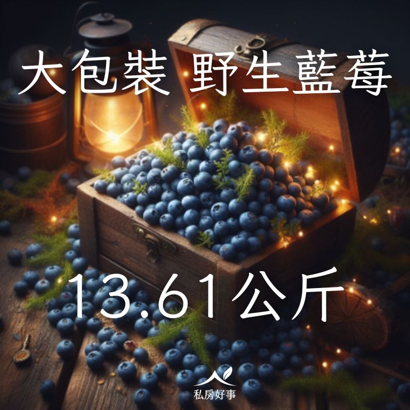 加拿大 野生藍莓原裝箱13.61公斤（請單獨下單，勿混搭其他商品）