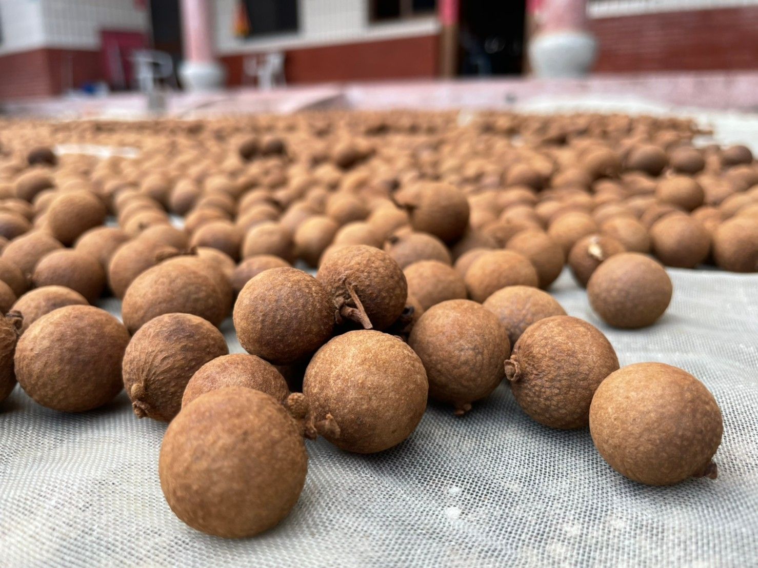 2025當年度 古早柴燒桂圓 // 超取一箱限重5KG，最多9斤（即9件商品）。超出請分兩單，謝謝。