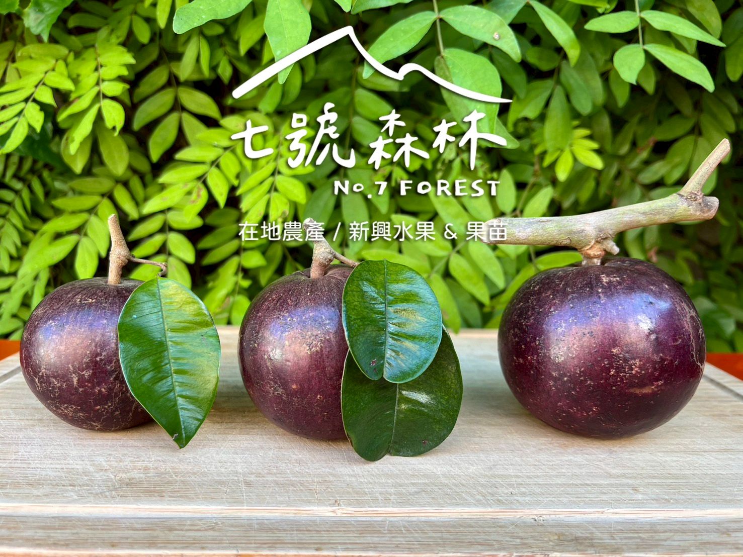 紅玉牛奶果（五斤裝）